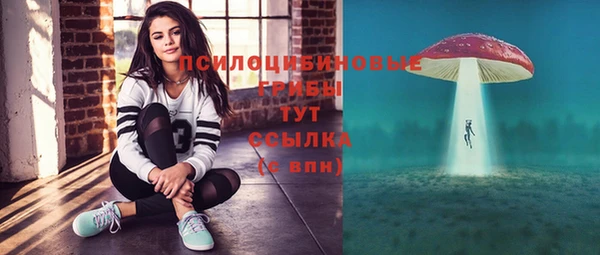 экстази Туринск