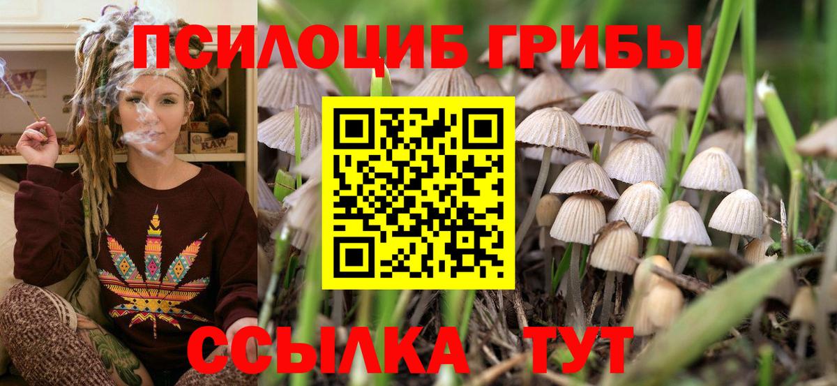 Псилоцибиновые грибы ЛСД Бирск